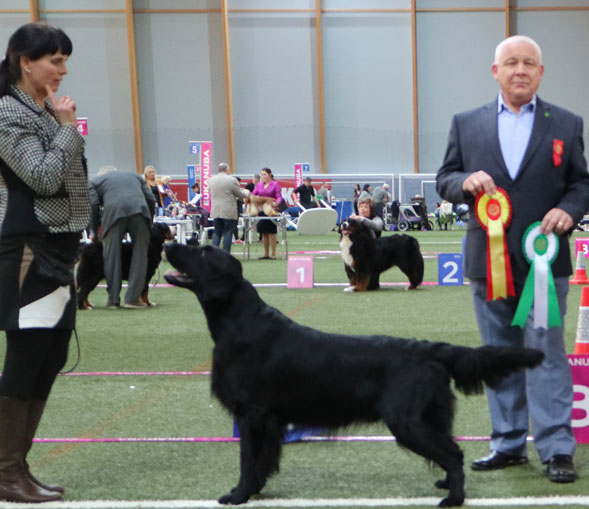 Elegante LokeBIR19 februar1