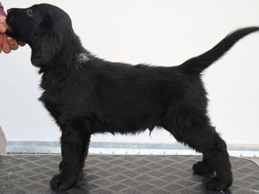 O061216GNNoah Stående