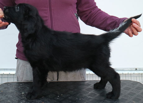 O061216Jhale Lykkestående