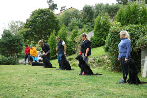 OPPVAKTE3VALPETREFF230JULI17
