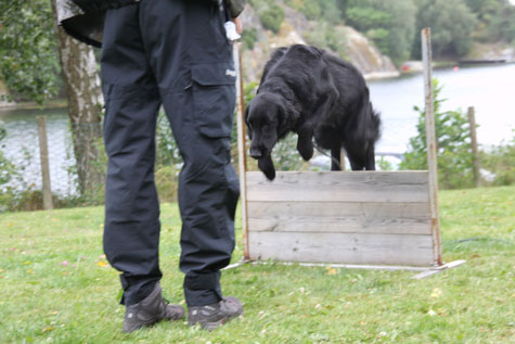 OPPVAKTE8VALPETREFF230JULI1