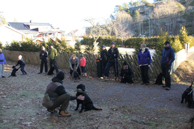 Ovalpetreff150117 14