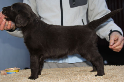 Q270117JNLottaStående