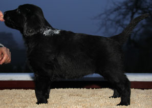 P220117JNAlphaStående