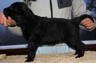 P220117JhaleAlfaStående